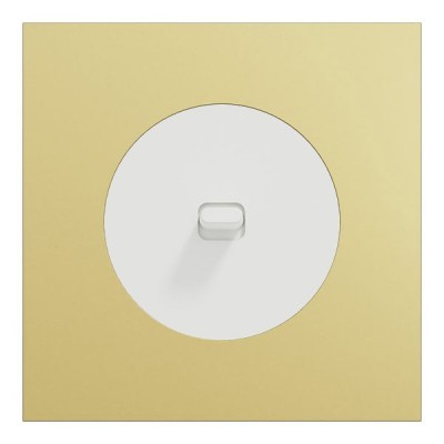 Schneider Odace - va-et-vient ou poussoir à levier blanc craie - 10AX - avec plaque métal laiton blanc - Réf : S920203-PBL