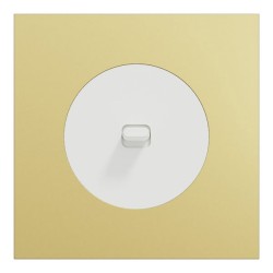 Schneider Odace - va-et-vient ou poussoir à levier blanc craie - 10AX - avec plaque métal laiton blanc - Réf : S920203-PBL