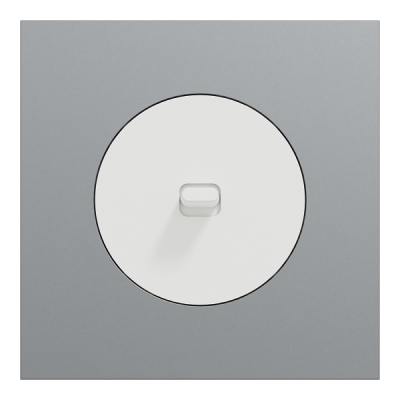 Schneider Odace - va-et-vient ou poussoir à levier blanc craie - 10AX - avec plaque métal titane blanc - Réf : S920203-PBT