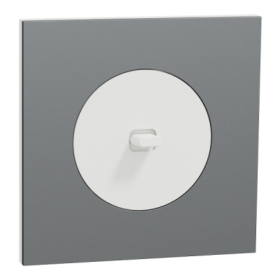 Schneider Odace - va-et-vient ou poussoir à levier blanc craie - 10AX - avec plaque métal titane blanc - Réf : S920203-PBT