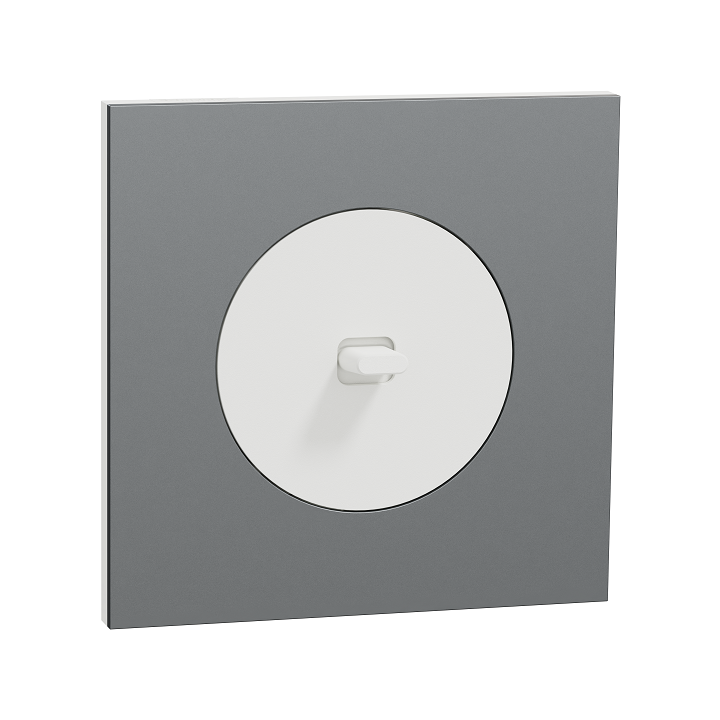 Schneider Odace - va-et-vient ou poussoir à levier blanc craie - 10AX - avec plaque métal titane blanc - Réf : S920203-PBT