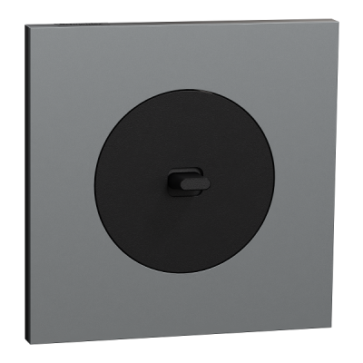 Schneider Odace - va-et-vient ou poussoir à levier noir onyx - 10AX - avec plaque métal titane - Réf : S940203-PT