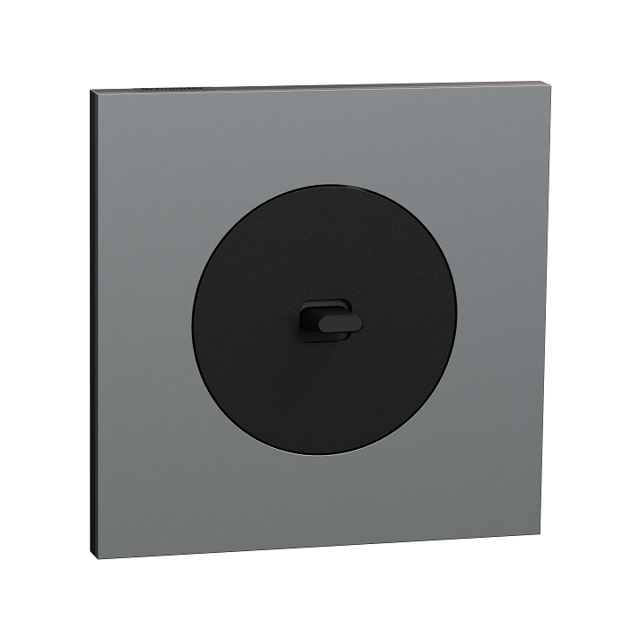 Schneider Odace - va-et-vient ou poussoir à levier noir onyx - 10AX - avec plaque métal titane - Réf : S940203-PT