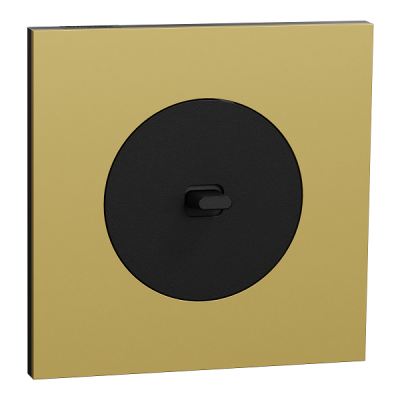 Schneider Odace - va-et-vient ou poussoir à levier noir onyx - 10AX - avec plaque métal laiton - Réf : S940203-PL