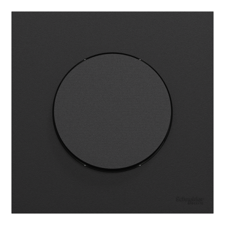 Schneider Odace - va-et-vient ou poussoir avec plaque de finition - 10AX - noir onyx - Réf : S940204-P