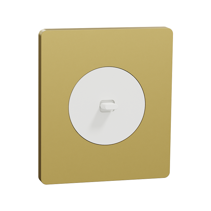 Schneider Odace - va-et-vient ou poussoir à levier blanc - 10AX - avec plaque Architecte laiton - Réf : S920203-PAL