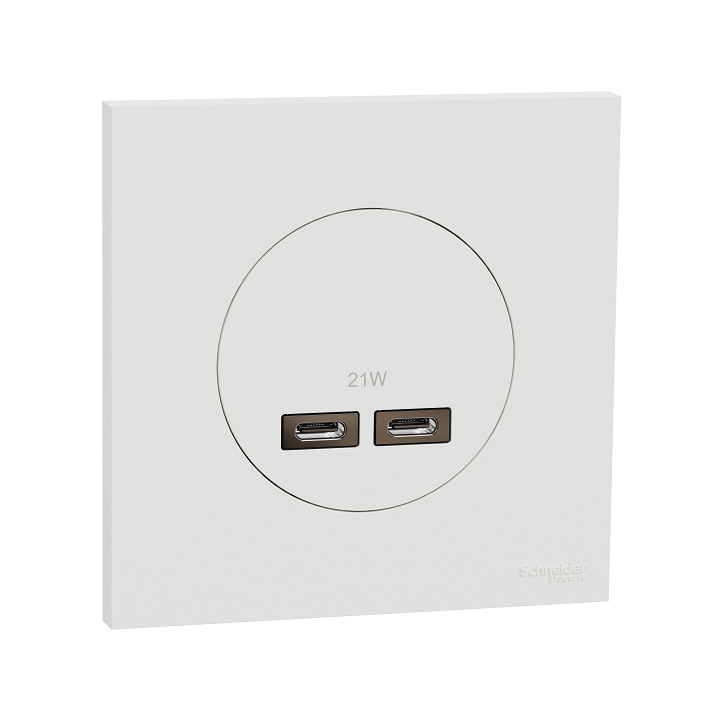 Schneider Odace - chargeur double USB type C+C - 21W Power Delivery avec plaque de finition blanc craie - Réf : S920401-P