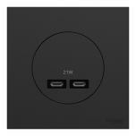 Schneider Odace - chargeur double USB type C+C - 21W Power Delivery avec plaque de finition noir onyx - Réf : S940401-P