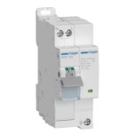 Hager - Parafoudre de type 2 avec disjoncteur associé Imax 15kA 1P+N 2module - Réf: SPB715D