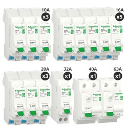 Schneider - Resi9 XE - Lot de 12 disjoncteurs + 2 interrupteurs différentiels 40A+63A - Embrochable - Pour T5 - Réf: R9ERA240-P2