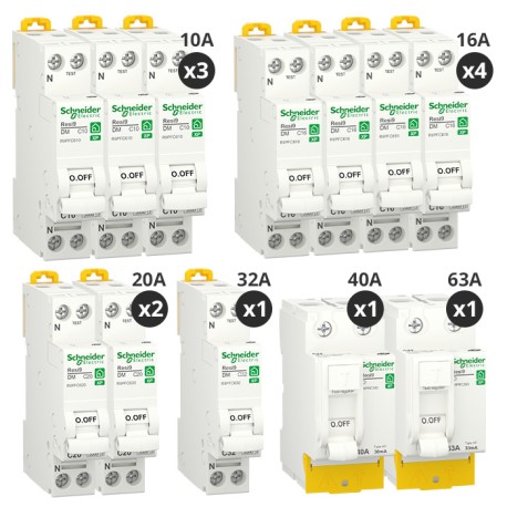 Schneider - Resi9 XP - Lot de 10 disjoncteurs + 2 interrupteurs différentiels 40A + 63A - Peignable - Pour T4 - Réf : R9PRA240-P