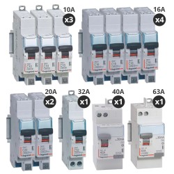 Legrand - Lot de 10 disjoncteurs + 2 interrupteurs différentiels 40A+63A - Type AC + A - Automatique - Pour T4 - Réf : 411638-P
