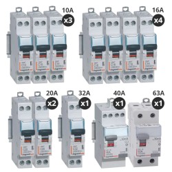 Legrand - Lot de 10 disjoncteurs + 2 interrupteurs différentiels 40A+63A - Type AC + A - Vis/vis - Pour T4 - Réf : 411617-P
