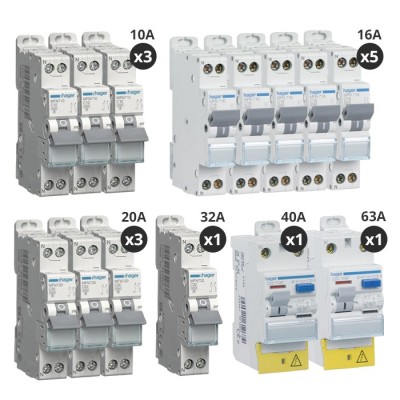 Hager - Lot de 12 disjoncteurs + 2 interrupteurs différentiels 40A+63A - Type AC + A - A vis - Pour T5 - Réf : CDA743F-P2