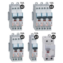 Legrand - Lot de 8 disjoncteurs + 1 interrupteur différentiel 63A Type AC - Vis/vis - Réf : 411506-P