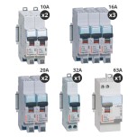 Legrand - Lot de 8 disjoncteurs + 1 interrupteur différentiel 63A - Type AC - Auto - Réf : 411650-P