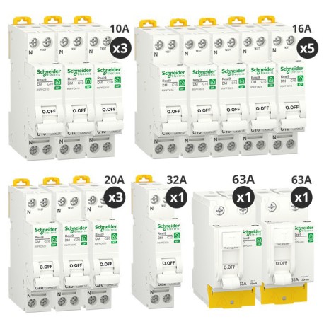Schneider - Resi9 XP - Lot de 12 disjoncteurs + 2 interrupteurs diff 63A Type A + 63A Type AC - Peignables - Réf: R9PRA263-P2