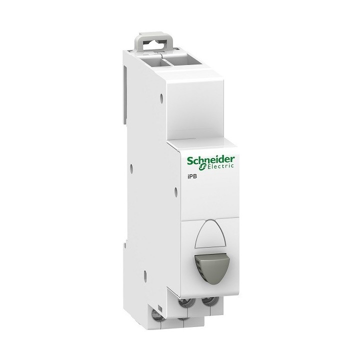 Schneider - Acti9 - iPB - Poussoir simple gris - 1NO - 20A - 230V - Réf : SCHA9E18032