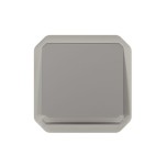 Legrand - Poussoir NO lumineux avec voyant étanche Plexo 10A 250V IP55 composable gris - Réf : 069542L