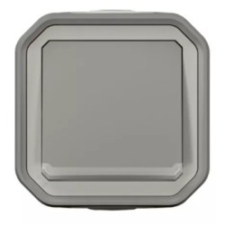 Legrand - Plexo - Poussoir NO lumineux 10A complet IP55 saillie - gris - Réf : 069722L