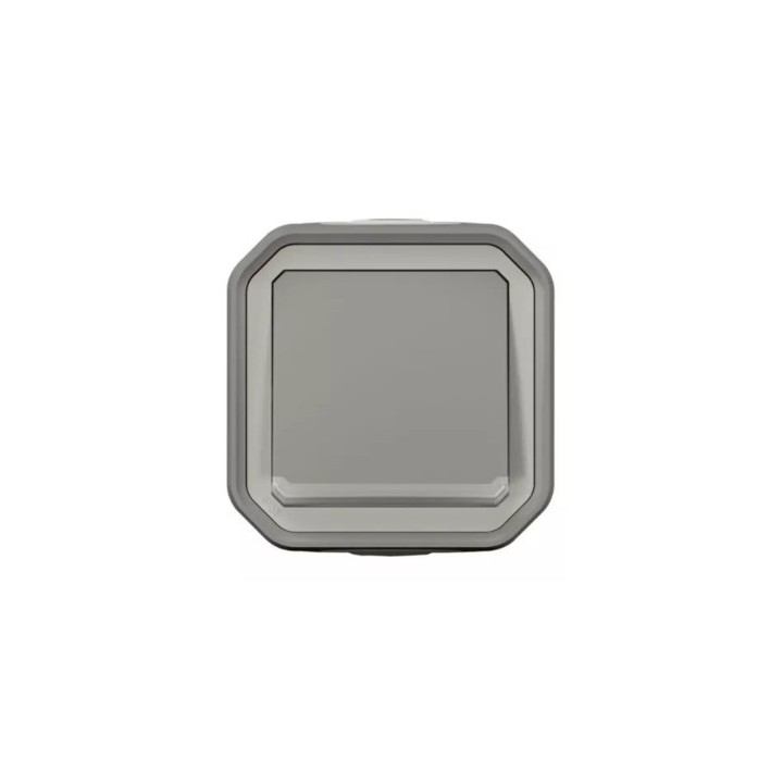 Legrand - Plexo - Poussoir NO lumineux 10A complet IP55 saillie - gris - Réf : 069722L