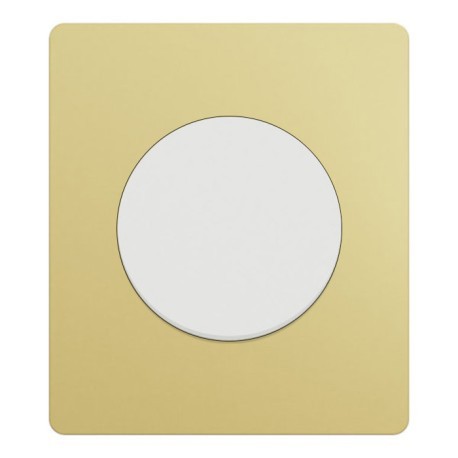 Schneider Odace - va-et-vient ou poussoir blanc craie - 10AX - avec plaque Architecte laiton - Réf : S920204-PAL