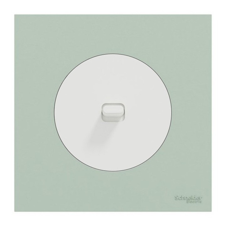 Schneider Odace - va-et-vient ou poussoir à levier blanc craie - 10AX - avec plaque de finition vert jade - Réf : S920203-PCV