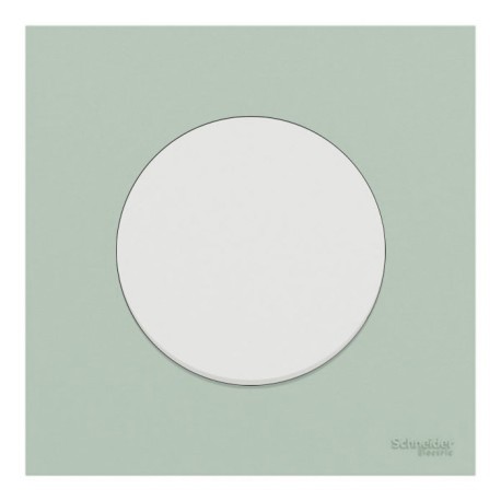 Schneider Odace - va-et-vient ou poussoir blanc craie - 10AX - avec plaque de finition vert jade - Réf : S920204-PCV