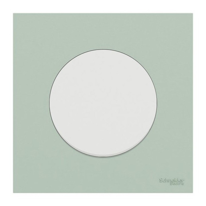 Schneider Odace - va-et-vient ou poussoir blanc craie - 10AX - avec plaque de finition vert jade - Réf : S920204-PCV