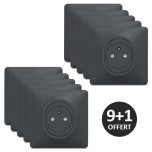 Schneider Ovalis - Lot de 10 Prises de courant complètes 2P+T affleurantes anthracites dont 1 OFFERTE - Réf : S340052(9+1)
