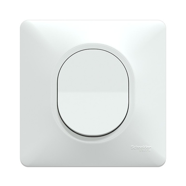 Schneider Ovalis - Lot de 10 interrupteurs va-et-vient complets blancs dont 1 OFFERT - Réf : S320204(10)