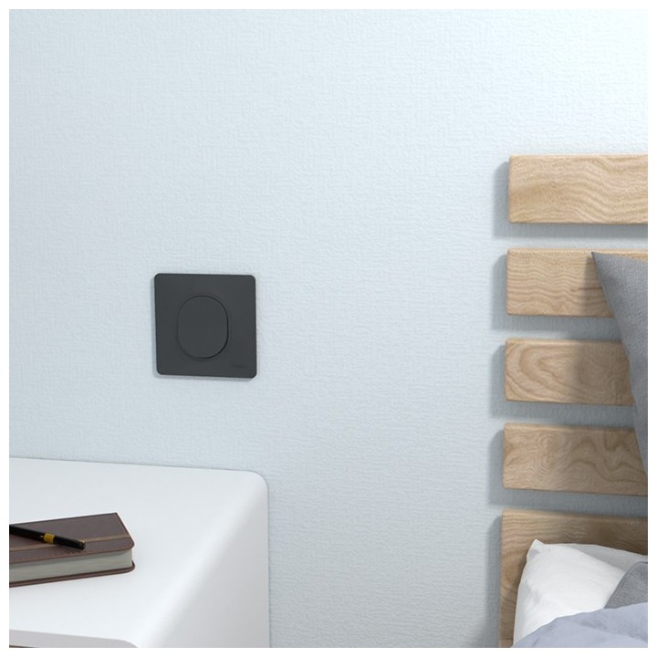 Schneider Ovalis - Interrupteur va et vient complet anthracite - Réf : S340204-P