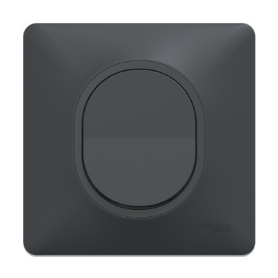 Schneider Ovalis - Lot de 10 Interrupteurs va et vient complets anthracites dont 1 OFFERT - Réf : S340204(10)