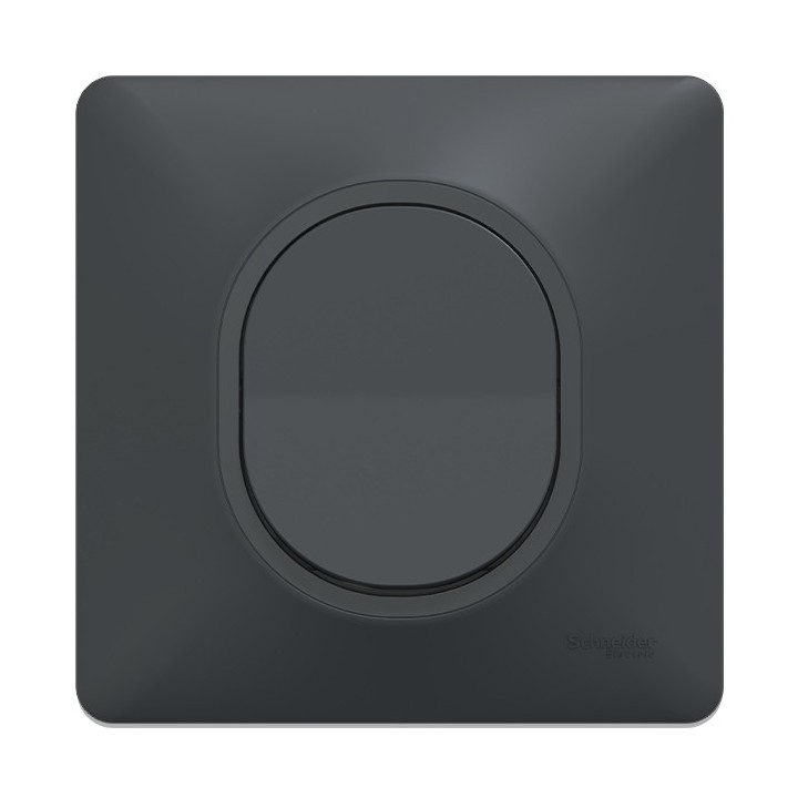 Schneider Ovalis - Lot de 10 Interrupteurs va et vient complets anthracites dont 1 OFFERT - Réf : S340204(10)