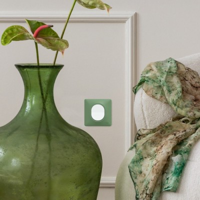 Schneider Ovalis - Interrupteur complet blanc avec Plaque couleur vert forêt - Réf : S320702B-P02