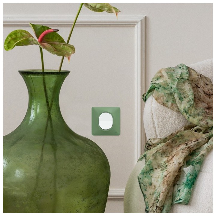 Schneider Ovalis - Interrupteur complet blanc avec Plaque couleur vert forêt - Réf : S320702B-P02