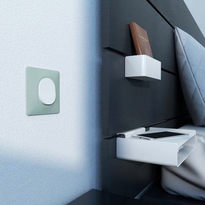 Schneider Ovalis - Interrupteur complet blanc avec Plaque couleur sauge - Réf : S320702A-P02