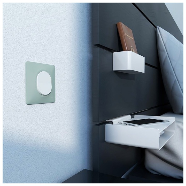Schneider Ovalis - Interrupteur complet blanc avec Plaque couleur sauge - Réf : S320702A-P02