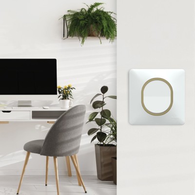 Schneider Ovalis - Interrupteur complet blanc - Plaque blanche avec bague effet laiton - Réf : S320204-PL02