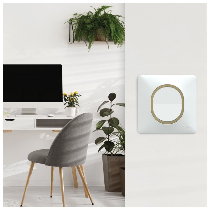 Schneider Ovalis - Interrupteur complet blanc - Plaque blanche avec bague effet laiton - Réf : S320204-PL02