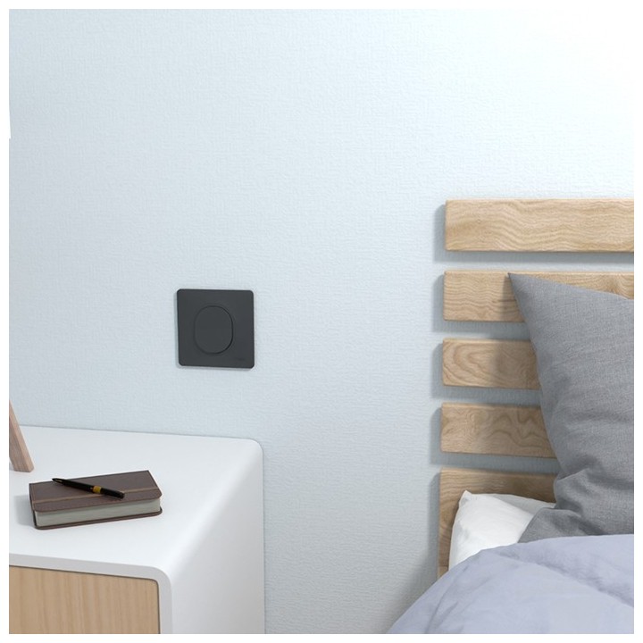 Schneider Ovalis - Bouton poussoir complet anthracite - Réf : S340206-P