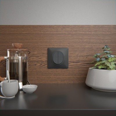 Schneider Ovalis - Interrupteur double va et vient complet anthracite - Réf : S340214-P