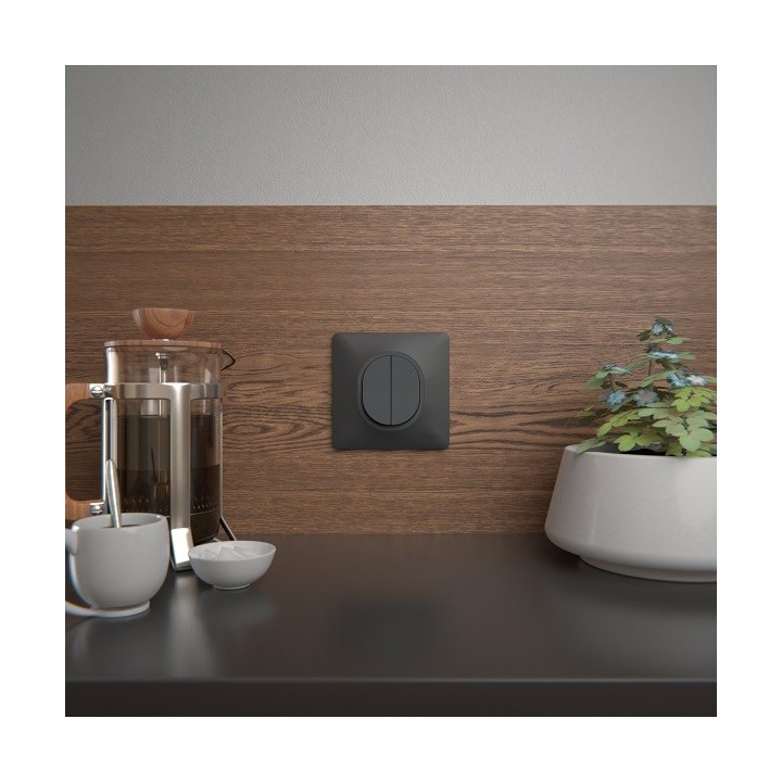 Schneider Ovalis - Interrupteur double va et vient complet anthracite - Réf : S340214-P