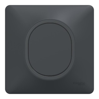 Schneider Ovalis - Obturateur complet anthracite - Réf : S340666-P
