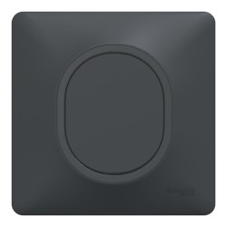 Schneider Ovalis - Obturateur complet anthracite - Réf : S340666-P