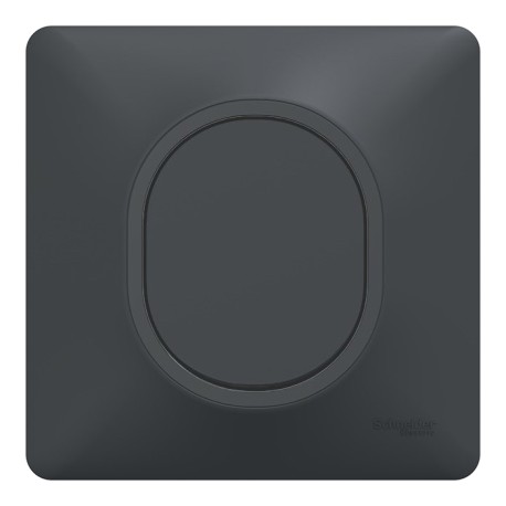 Schneider Ovalis - Obturateur complet anthracite - Réf : S340666-P