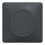 Schneider Ovalis - Obturateur complet anthracite - Réf : S340666-P