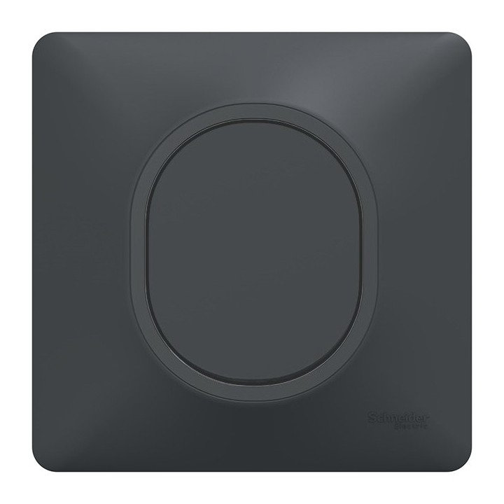 Schneider Ovalis - Obturateur complet anthracite - Réf : S340666-P