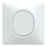 Schneider Ovalis - Obturateur complet blanc - Réf : S320666-P