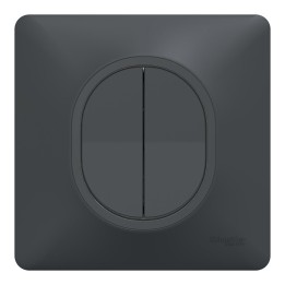 Schneider Ovalis - Interrupteur va et vient + poussoir complet anthracite - Réf : S340285-P